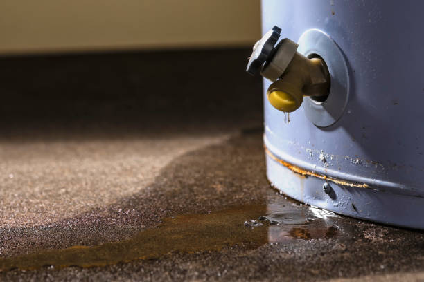 Best Basement water damage restoration  in River Park, FL