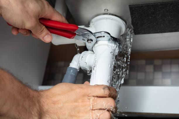 Best Water damage cleanup near me  in River Park, FL