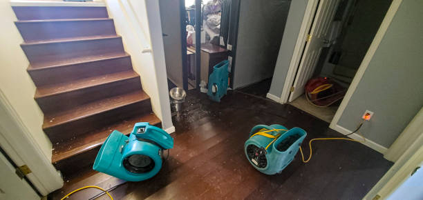 Best Flooded house restoration  in River Park, FL