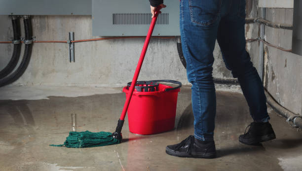 Best Water damage restoration near me  in River Park, FL