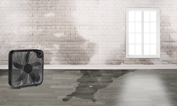 Best Fire Damage Restoration  in River Park, FL