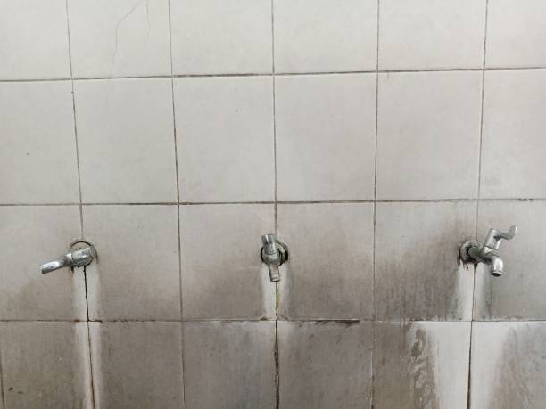 Best Basement water damage restoration  in River Park, FL