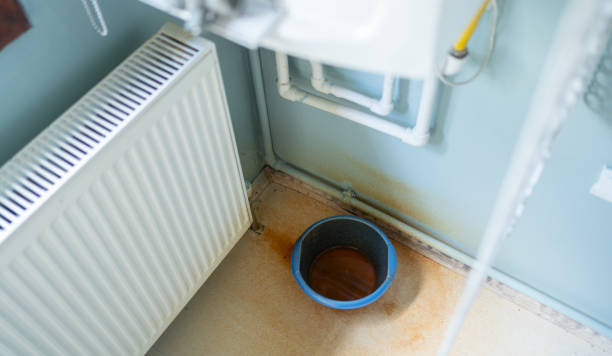 Best Fire Damage Restoration  in River Park, FL