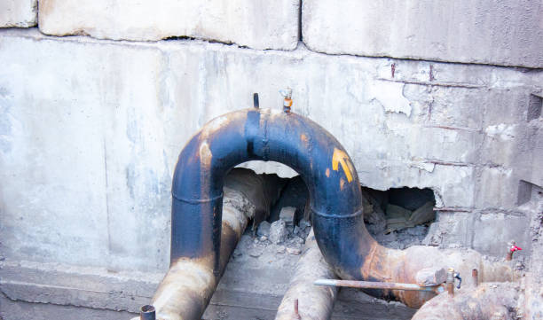 Best Carpet water damage restoration  in River Park, FL