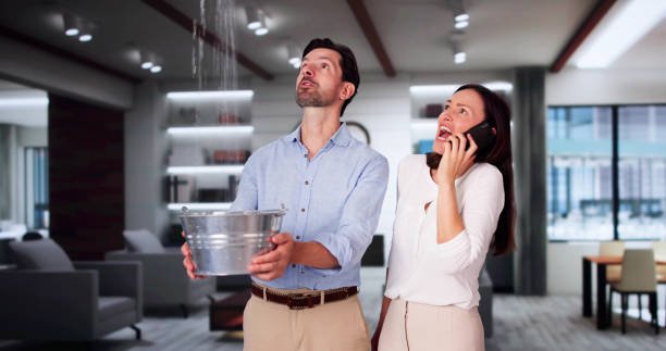 Best Local water damage restoration  in River Park, FL