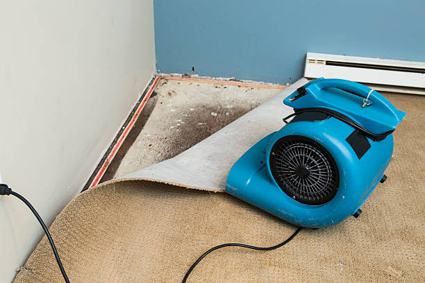 Professional Water damage restoration in FL